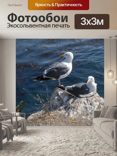 Фотообои Пара Чайков
