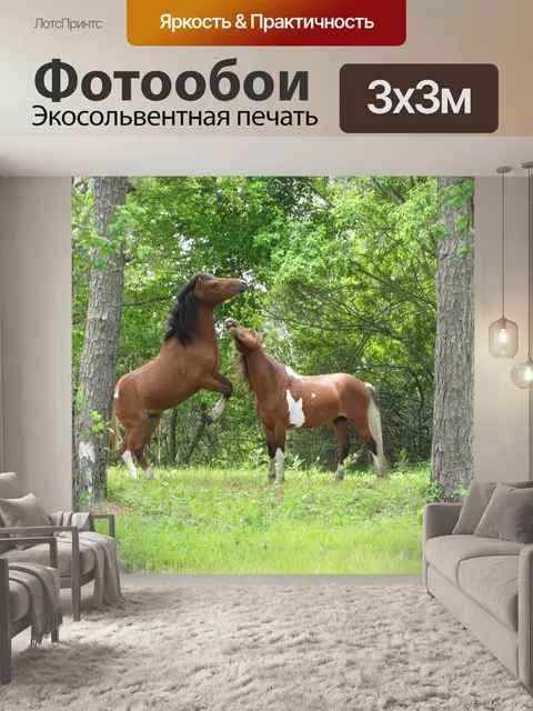 Фотообои Дикие лошади