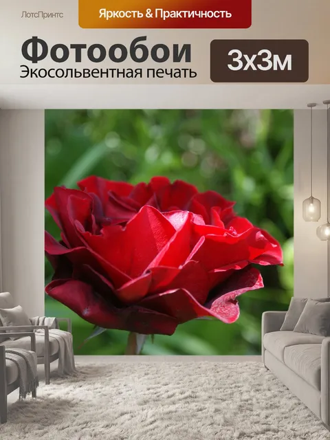 Фотообои Сад