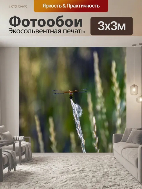 Фотообои стрекоза
