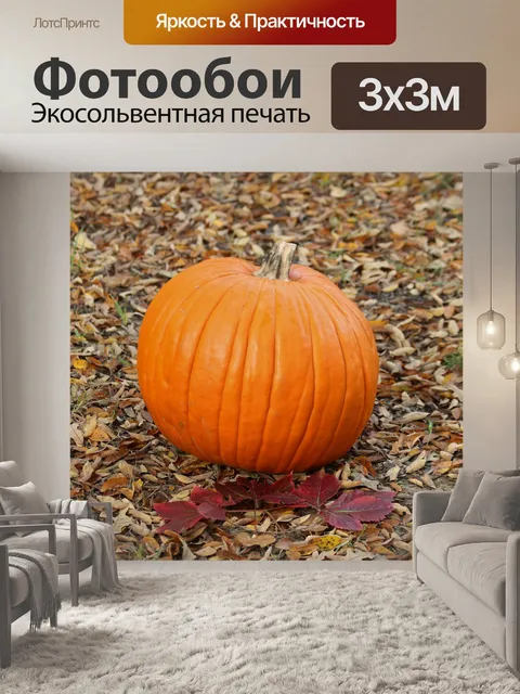 Фотообои Тыква в осенних листьях