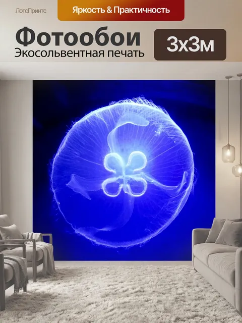 Фотообои медуза