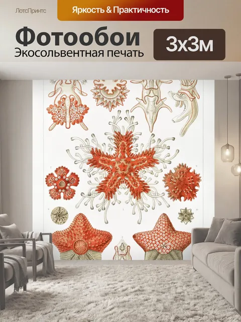 Фотообои Коралловый риф морская звезда старинное