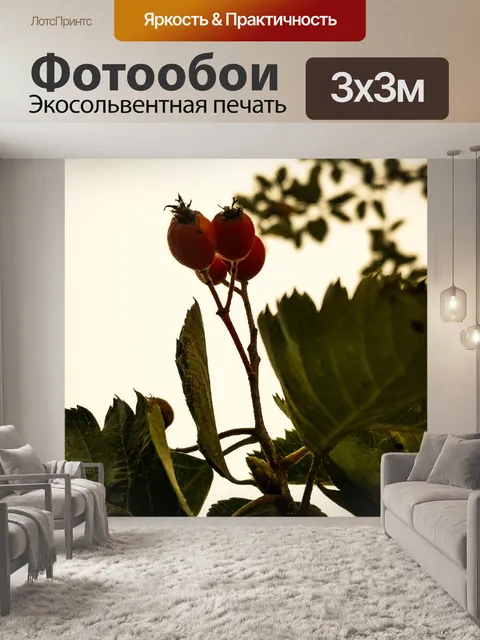 Фотообои Растения