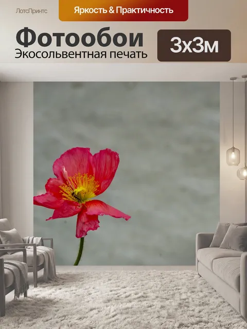 Фотообои Цинния цветок