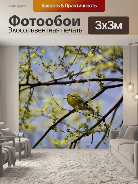 Фотообои Птица