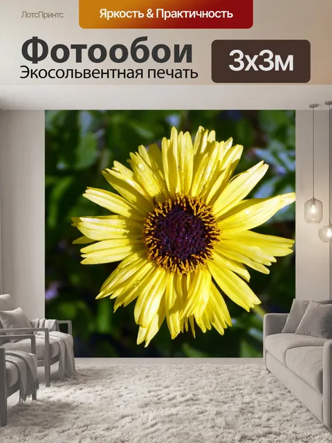 Фотообои Подсолнечное и ошибки