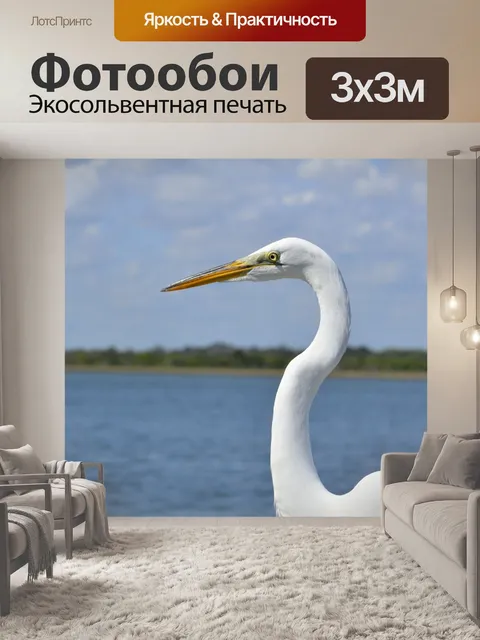 Фотообои Большая белая цапля
