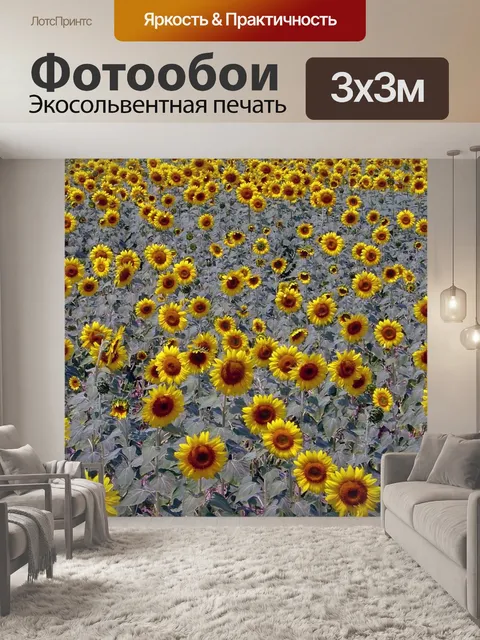 Фотообои Подсолнечник