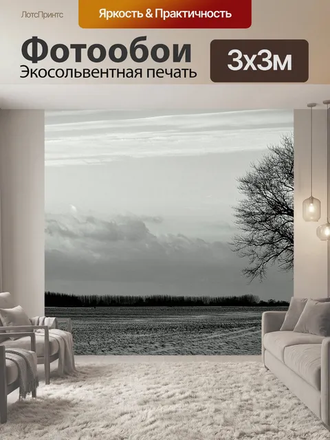 Фотообои Один в поле