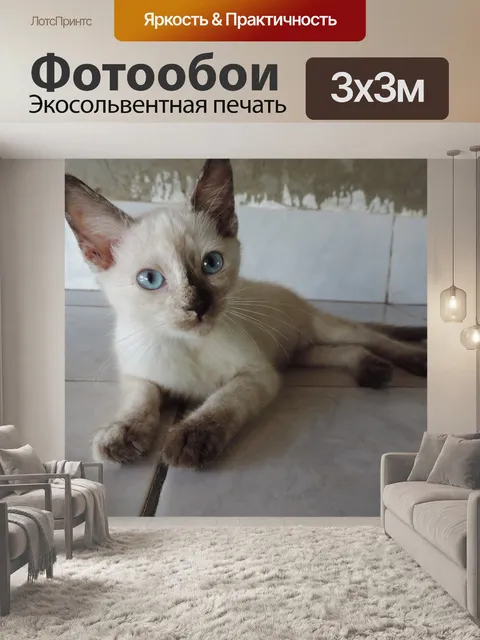 Фотообои Китти