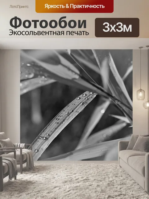 Фотообои Черно-белый