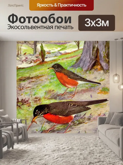 Фотообои Робин Винтаж Птица Иллюстрация