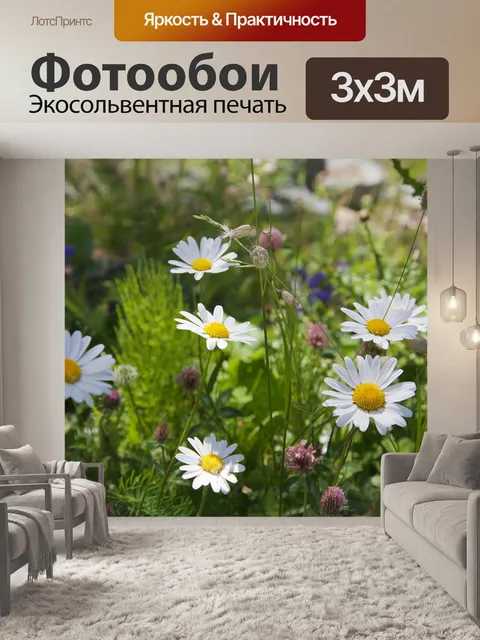 Фотообои Ромашка