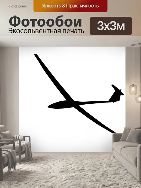 Фотообои Силуэт планера