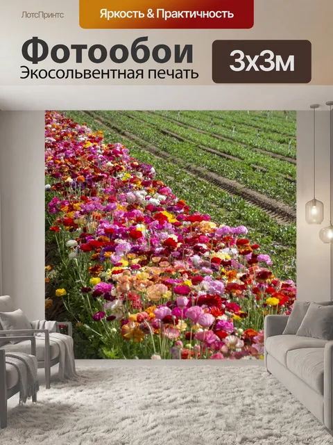 Фотообои Цветы лютика