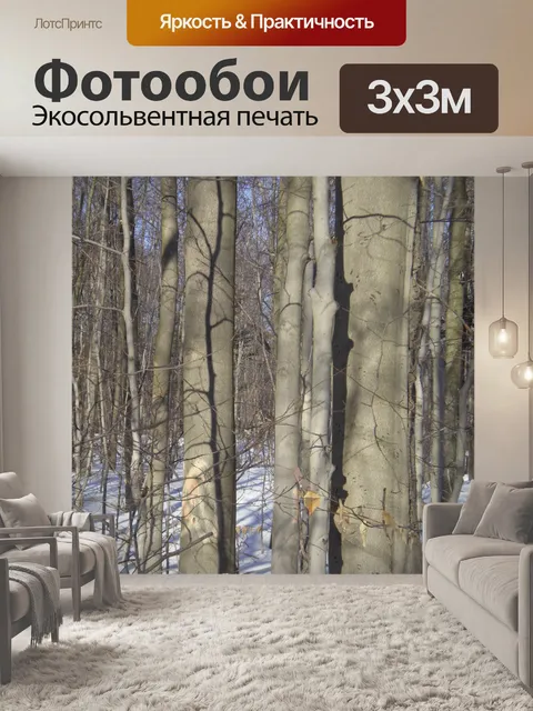 Фотообои Медведи нуля