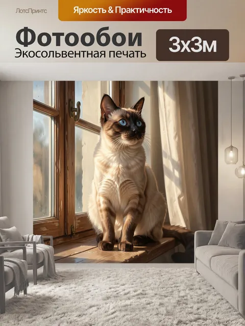 Фотообои Сиамская кошка у окна