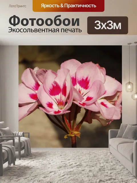 Фотообои Цикламен