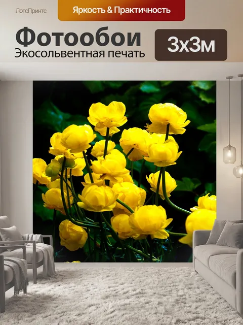 Фотообои Цветок