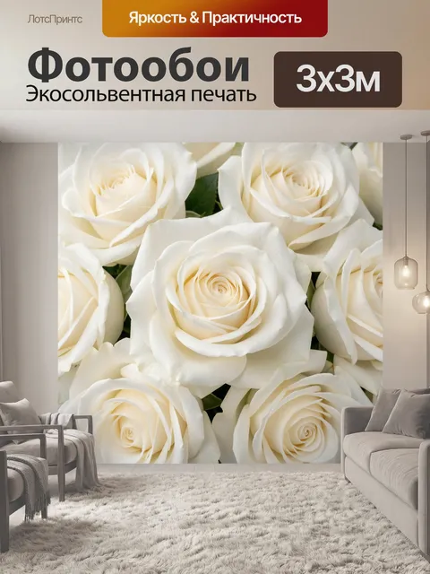 Фотообои Белые розы в крупном плане