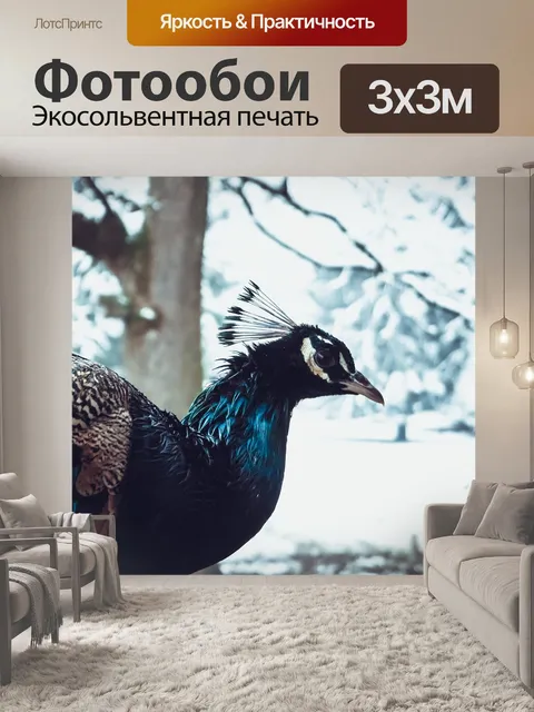 Фотообои Зима