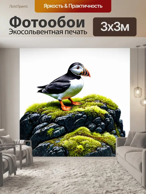 Фотообои вулканическая скала, густо покрытая мхом и водорослями, служит местом обитания для тупиков в исландии