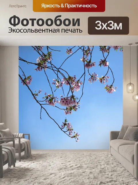 Фотообои Ветка сакуры