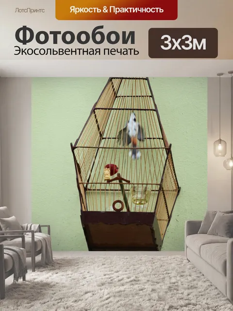 Фотообои Птица в клетке