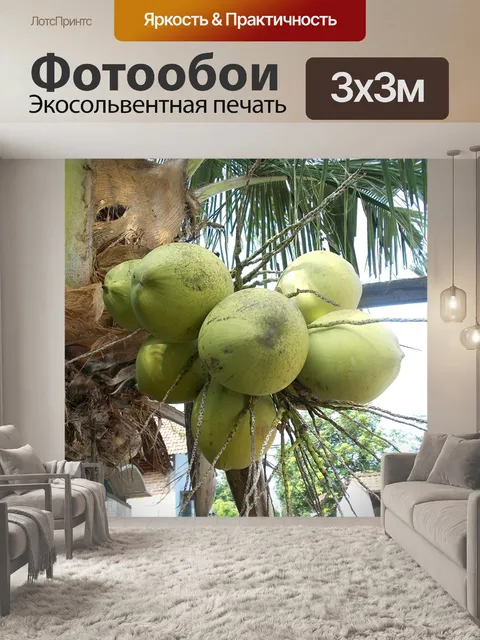 Фотообои Зеленое кокосовое дерево