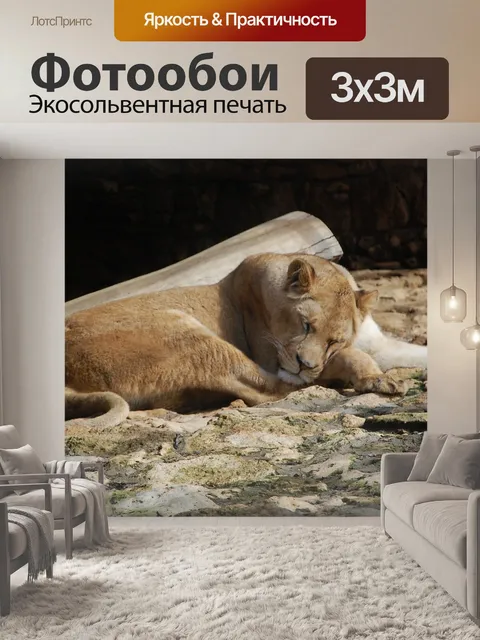 Фотообои Животные