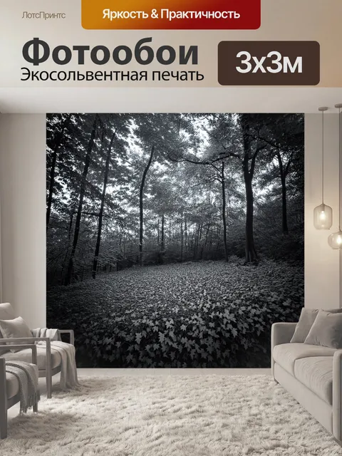 Фотообои черно-белый с детализированным изображением леса в осенний период