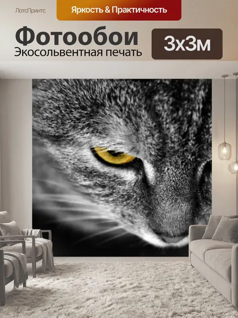 Фотообои Кошка