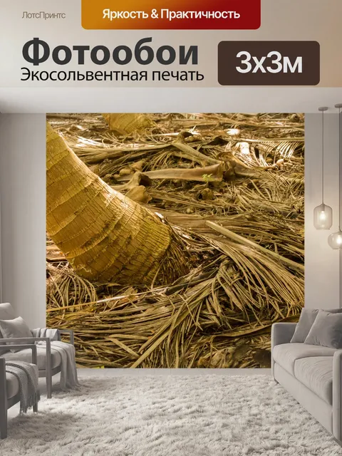 Фотообои пальма лес этаж