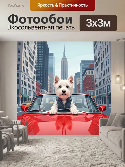 Фотообои Белый терьер в красном кабриолете