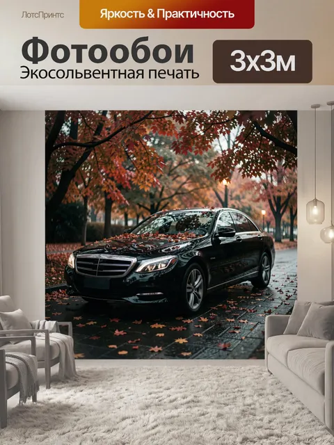 Фотообои Черный седан в осеннем парке