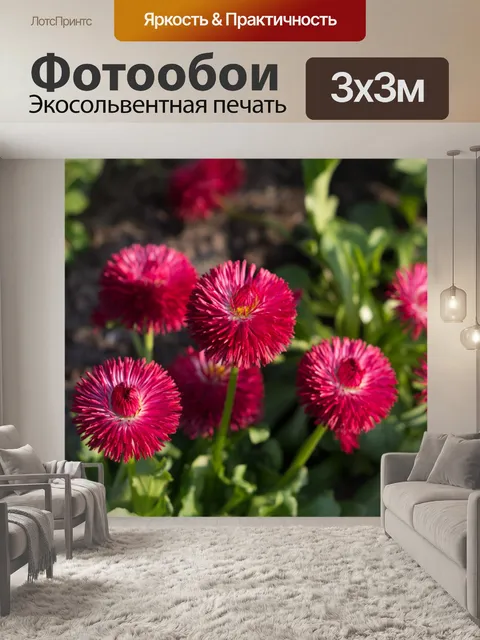 Фотообои Синий