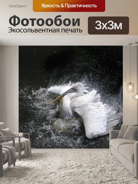 Фотообои Пеликан