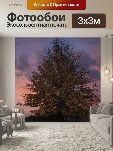 Фотообои Буря