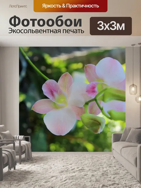 Фотообои Розовая Орхидея