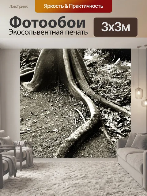 Фотообои Rainforest Roots II