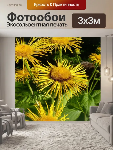 Фотообои Alant