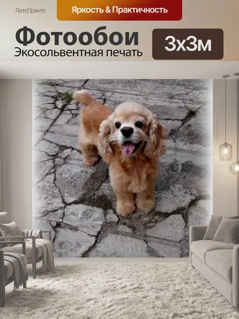 Фотообои Мой привлекательной собаки