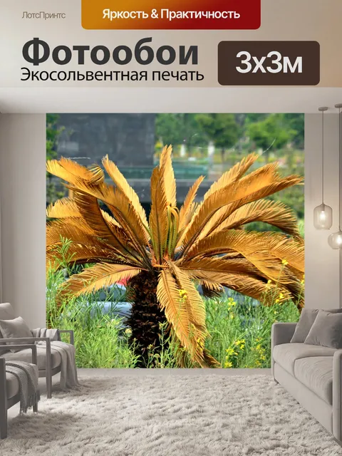 Фотообои Пальма