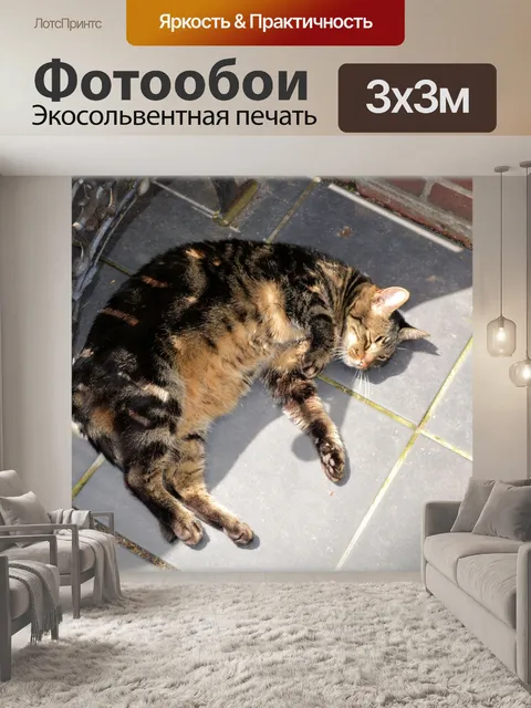 Фотообои Cat 02