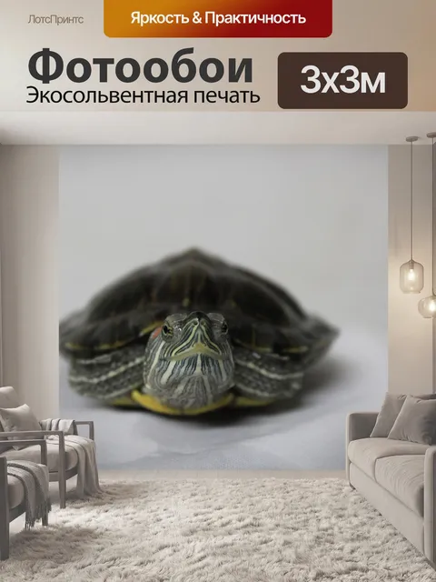 Фотообои Черепаха