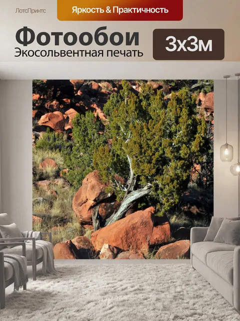 Фотообои Упавшее дерево Среди пустыни Rocks
