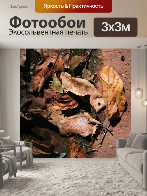 Фотообои сухие листья зимой
