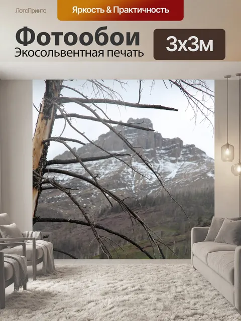 Фотообои Сгоревшее дерево в горах