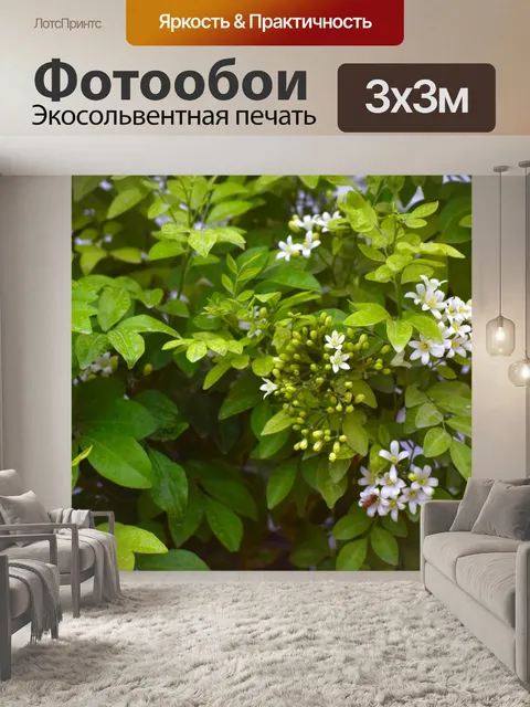 Фотообои Белые ароматные цветы